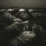 Keith Taylor, Birdhouse from the series 'The Farmstead', 2008