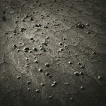 Keith Taylor, Birdhouse from the series 'The Farmstead', 2008