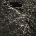 Keith Taylor, Birdhouse from the series 'The Farmstead', 2008