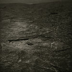 Keith Taylor, Birdhouse from the series 'The Farmstead', 2008