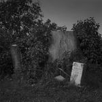 Keith Taylor, Birdhouse from the series 'The Farmstead', 2008