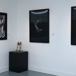 Beto Gatti, Toy Art , 2022