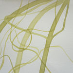 Lilian Cooper, Enteromorpha plumosa 1, 2020