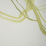 Lilian Cooper, Enteromorpha plumosa 1, 2020