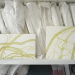 Lilian Cooper, Enteromorpha plumosa 1, 2020