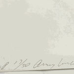 ANDY WARHOL, Flowers