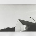 Jochen Lempert, Visible Light II (vitrine), 2021