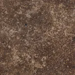 Louis Vincent, Bowl, 2025