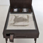 David Almeida, Araucarias in the afternoon, 2023