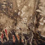 Luca Di Terlizzi, Nel segno dell’ibrido si presentarono le forme, 2024