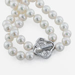 White Gold and Diamond Stud Earrings