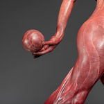 Thumbnail of additional image