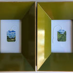 Marianne Hazlewood, Arisaema Costatum