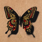 Alessandra Maria, Butterfly no. 92, 2022