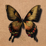 Alessandra Maria, Butterfly no. 92, 2022