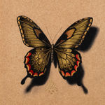 Alessandra Maria, Butterfly no. 92, 2022