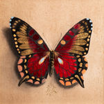 Alessandra Maria, Butterfly no. 92, 2022