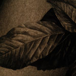 Alessandra Maria, Butterfly no. 92, 2022