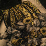 Alessandra Maria, Butterfly no. 92, 2022