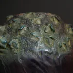 Amphora, Gres Bijou Series Butterflies & Spiderwebs Semiramis Vase, 1904-1906