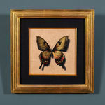 Alessandra Maria, Butterfly no. 92, 2022