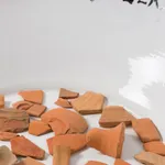 Fernando Renes, Nos gusta..., 2015