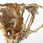 クリスティン・モルギン, Matchbook Hexagon, 2017