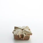 道川 省三, 粉引｜ピンク鯨 - 若冲, 2025