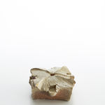 道川 省三, 粉引｜ピンク鯨 - 若冲, 2025