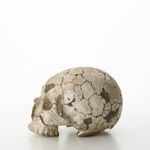 朴木 友美, 陶祠「吉祥天女、ホルス」, 2020