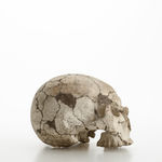 朴木 友美, 陶祠「吉祥天女、ホルス」, 2020