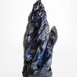 小島 修, 滅紫19-08, 2019