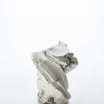 道川 省三, 粉引｜ピンク鯨 - 若冲, 2025