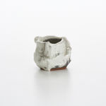 道川 省三, 粉引｜ピンク鯨 - 若冲, 2025