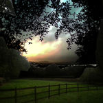 Kit Glaisyer, Proposal: Young Lewesdon Tree 240x200cm