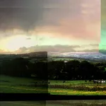 Kit Glaisyer, Proposal: Young Lewesdon Tree 240x200cm