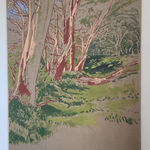 Kit Glaisyer, Glowing fields on Eggardon Hill