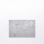 Tony Matelli, Rope, 2014