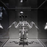 Mat Collishaw, The Nerve Rack, 2019