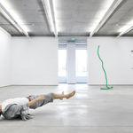 Tony Matelli, Rope, 2014