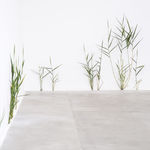 Tony Matelli, Weeds, 2009