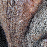 Chuck Close, Sunflower, 2007