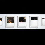 Mat Collishaw, Talons, 2016