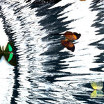 Damien Hirst, The Rose Window, Durham Cathedral, 2008