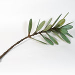 Matthew Williams, Starburst ed. 2/5, 2024