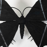 Matthew Williams, Starburst ed. 2/5, 2024