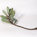 Matthew Williams, Starburst ed. 2/5, 2024