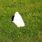 Detanico Lain, Flatland, 2003