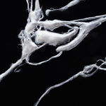 Hoa Dung Clerget, The Banquet Hall, 2025