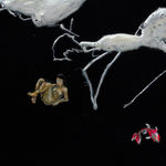 Hoa Dung Clerget, The Banquet Hall, 2025